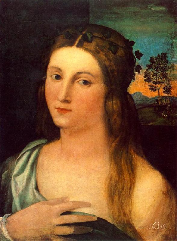 Palma Vecchio Portrait of a Young Woman ag